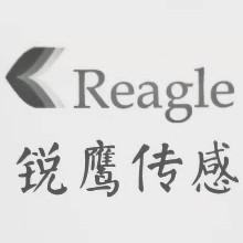 浙江銳鷹傳感技術有限公司